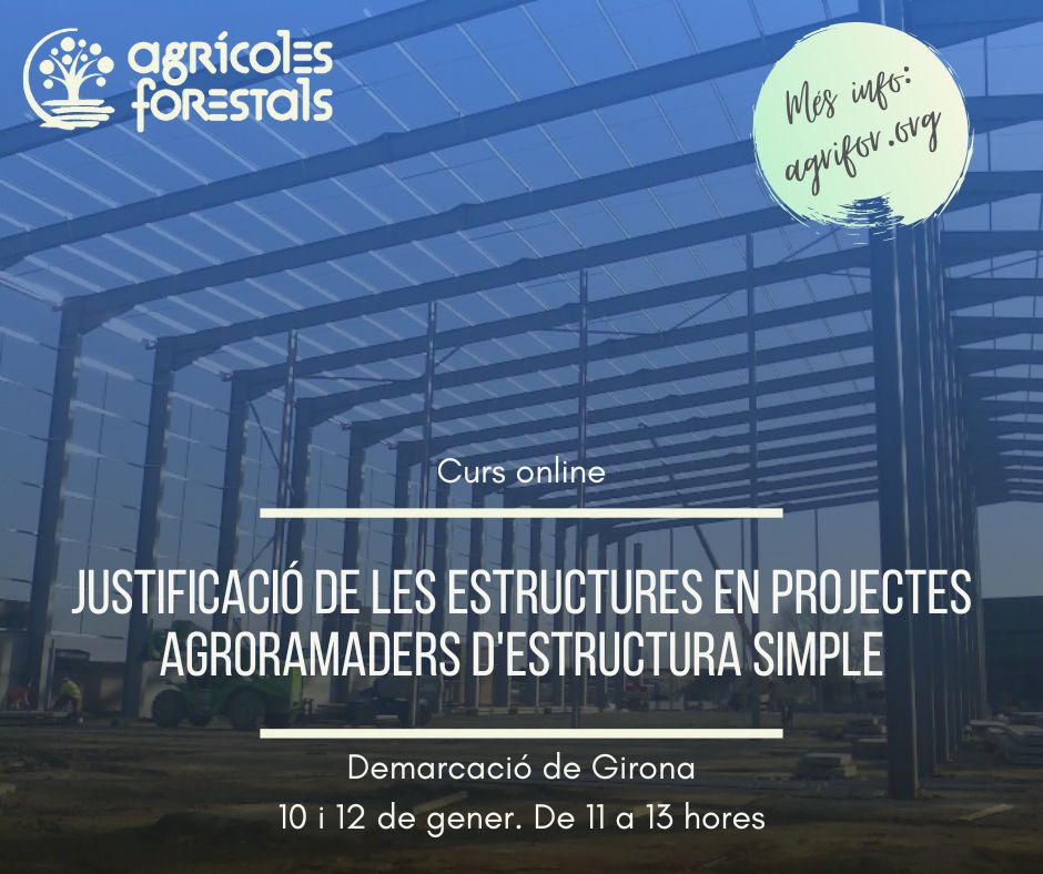 Curs estructures